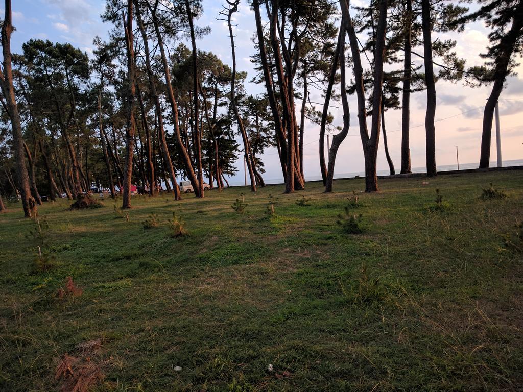 Kobuleti Pines Resort Eksteriør bilde